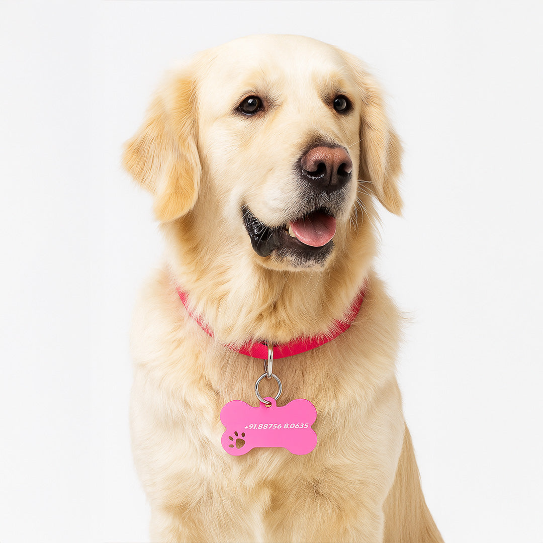 Acrylic - Custom Pet Name Tag