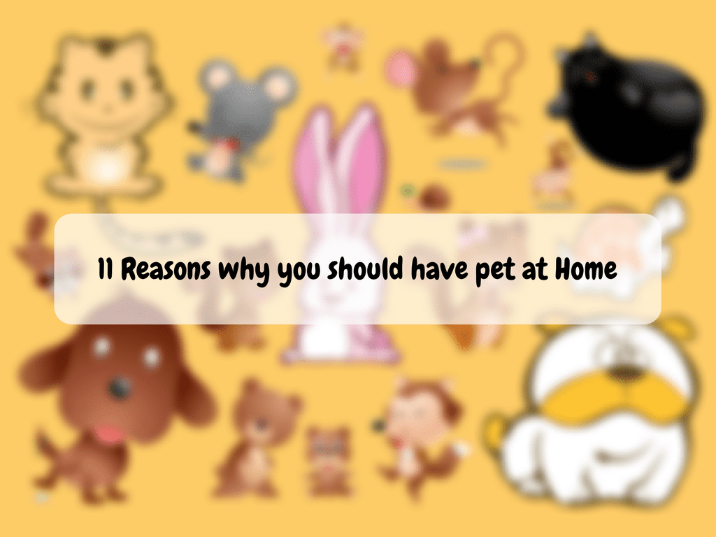 11 Reasons why you should have a pet at Home