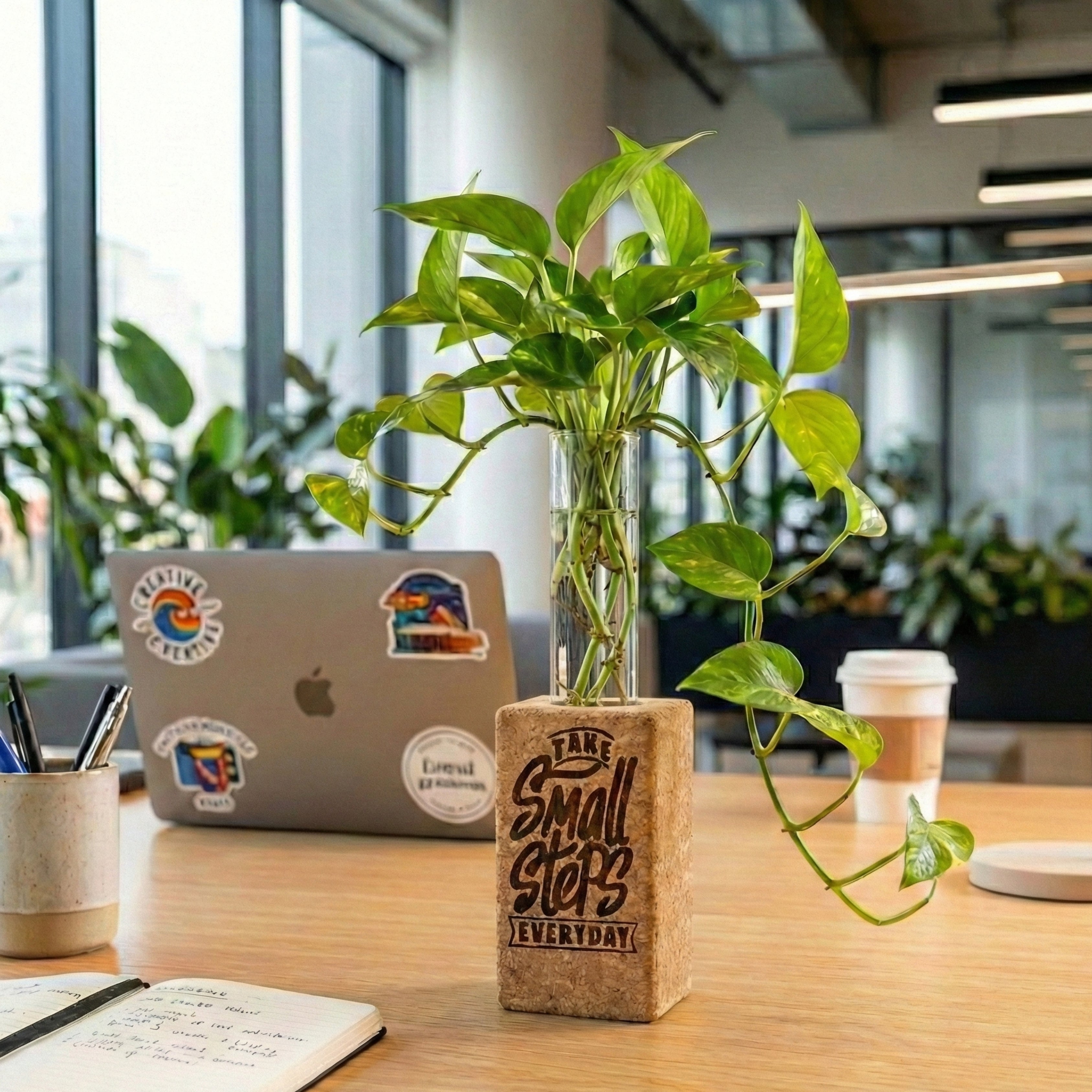 Magnetic Cork Planter - Take small steps