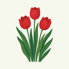 April - Tulip