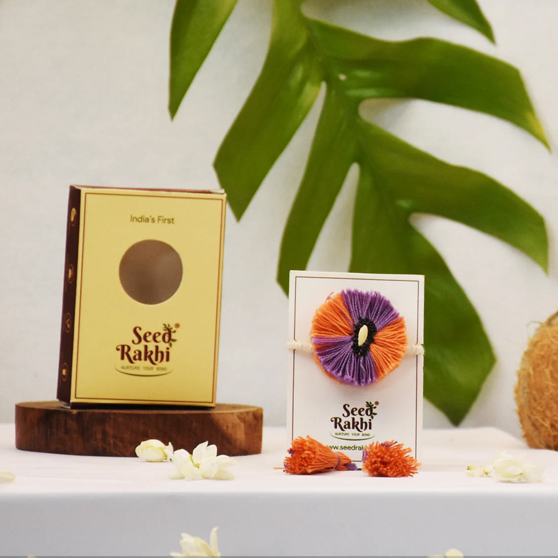 Raksha & Roots - Plantable Seed Rakhi - Dual Color - Cucumber & Chulai