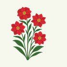 December - Poinsettia