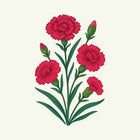 January - Carnation