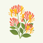 June - Honeysuckle