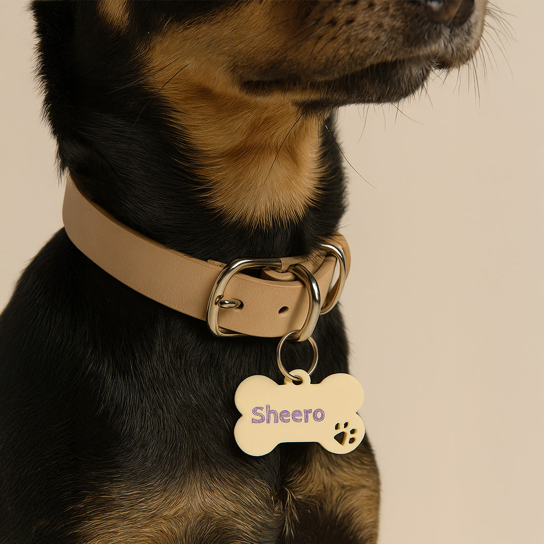 Acrylic - Custom Pet Name Tag
