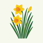 March - Daffodil