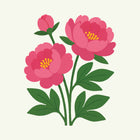 November - Peony