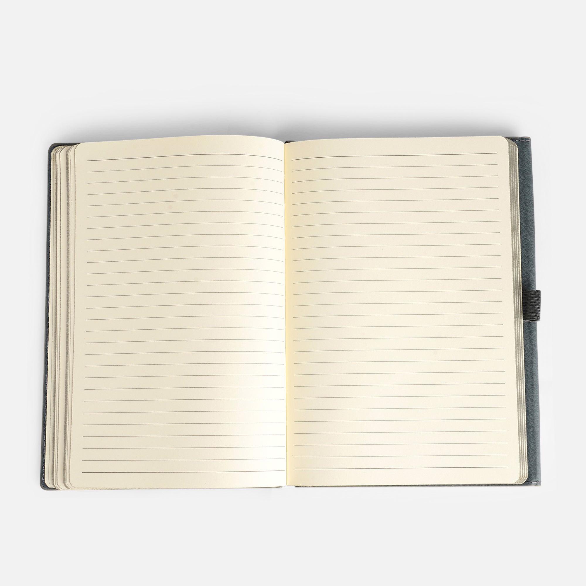 The Daily Dialogue – Personalised Diary