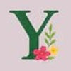 Y